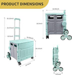 Multi-functional trolley