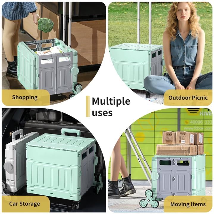 Multi-functional trolley