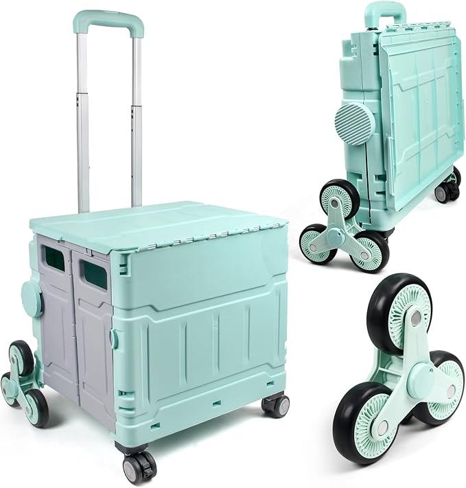 Multi-functional trolley