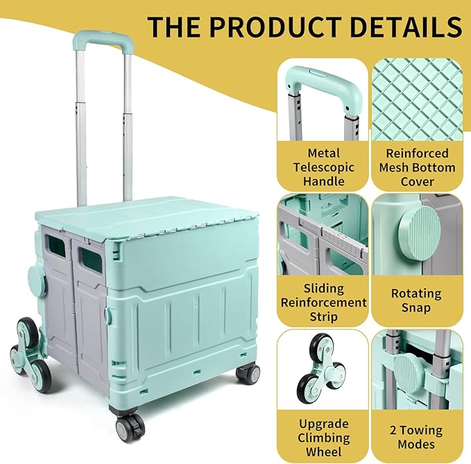 Multi-functional trolley