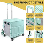 Multi-functional trolley