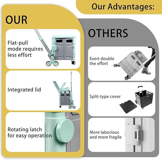 Multi-functional trolley