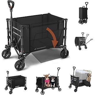 Multi-functional trolley