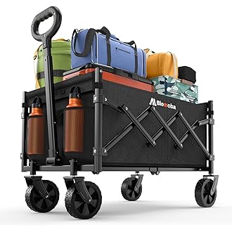 Multi-functional trolley